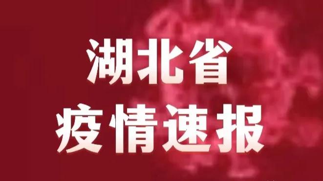 最新疫情湖北襄阳通报，坚定信心，共克时艰