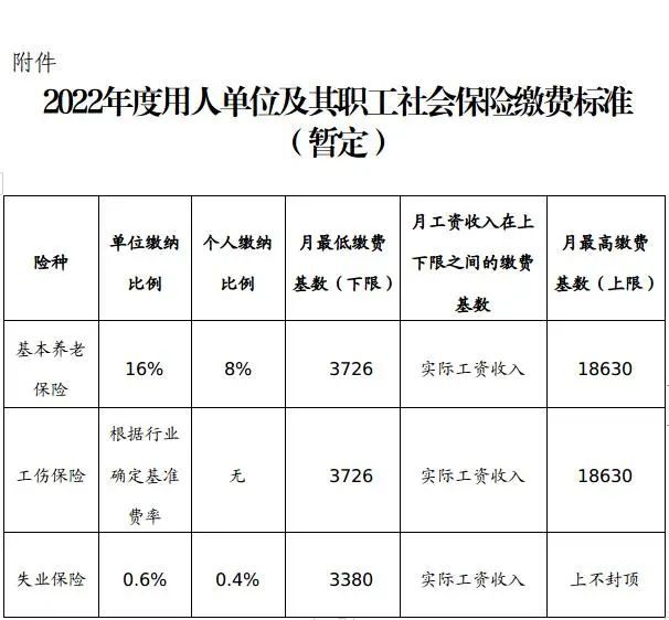 社保最新交费标准详解