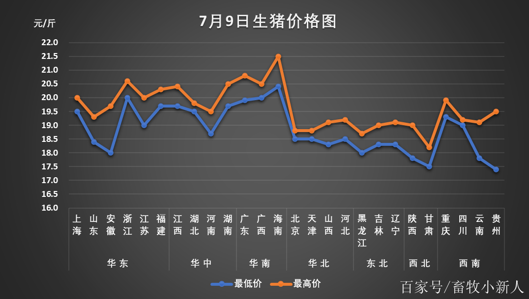 最新报道，省生猪价格动态分析