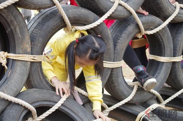 玉林招聘信息最新招聘动态及市场分析