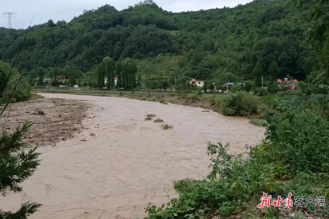 陇南最新暴雨受灾情况