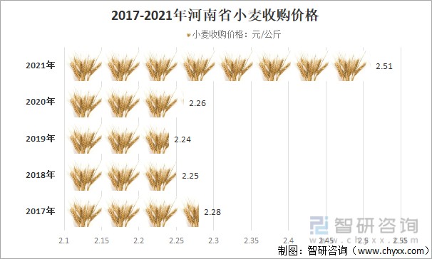 小麦最新价格行情今日分析