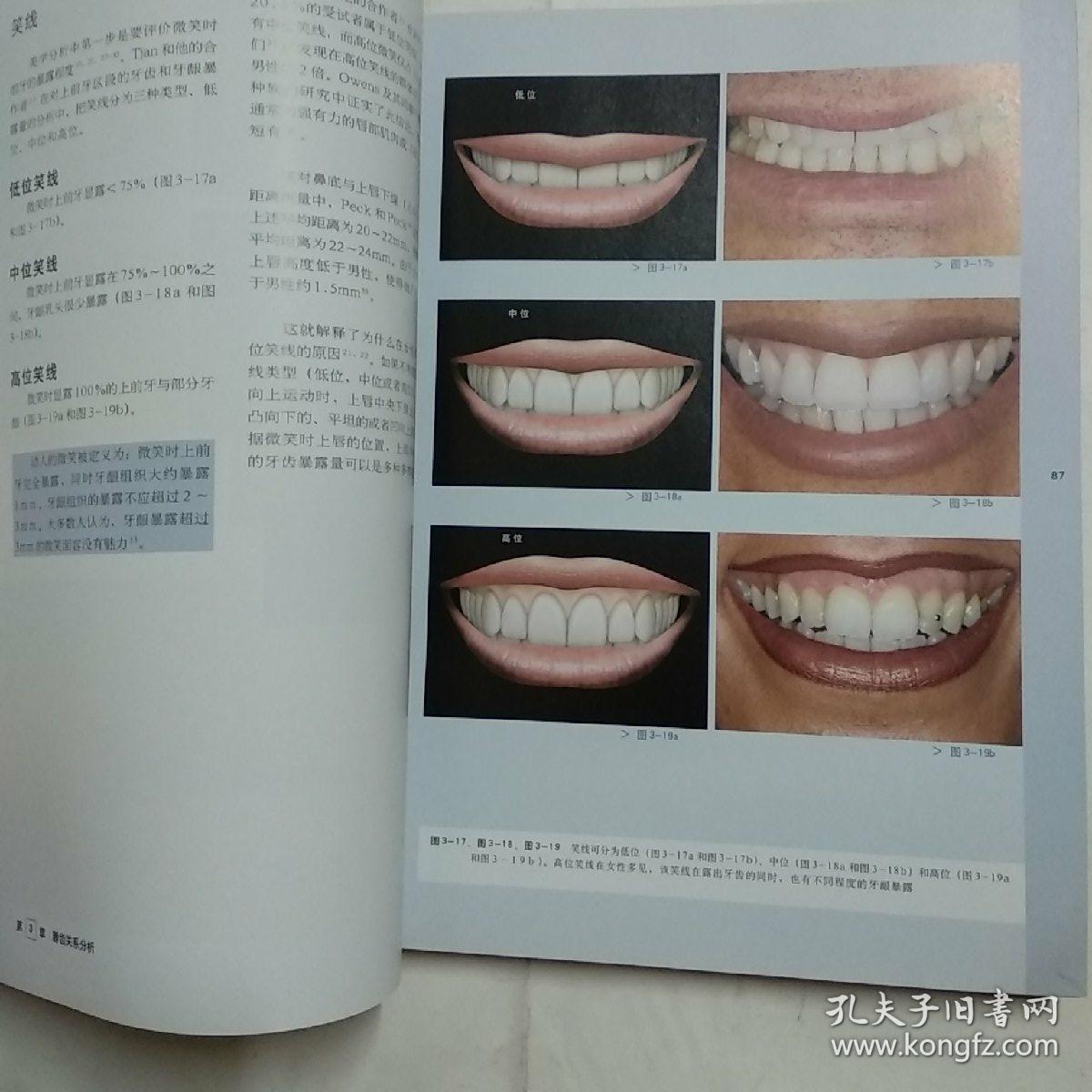 颌学最新版本，深度理解与探索