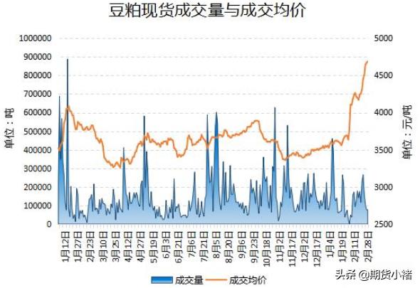 中国大豆期货最新行情，市场走势分析与展望