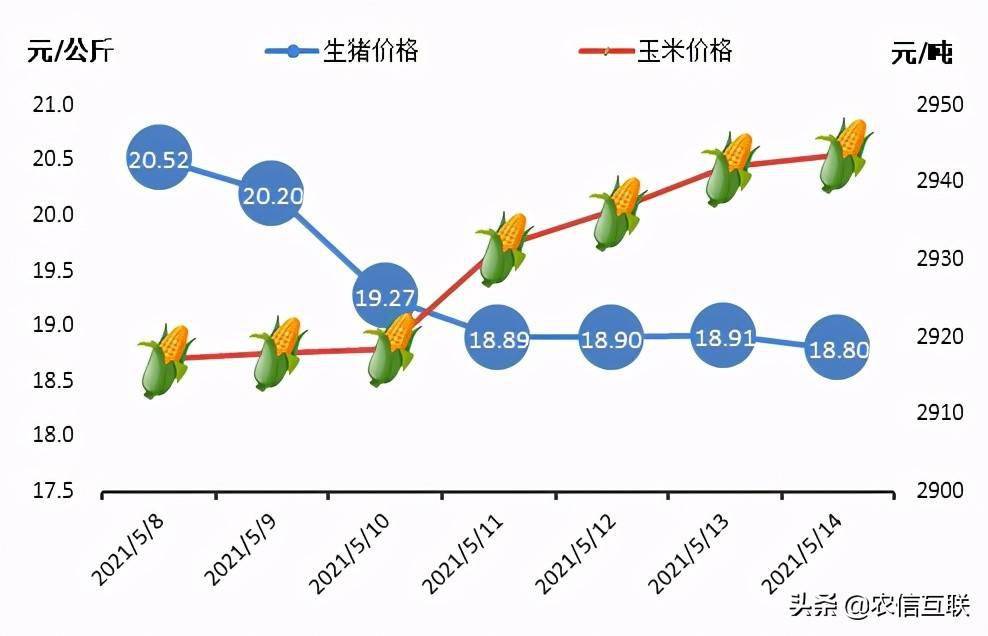 广东猪肉最新价格今日价，市场走势与影响因素探讨