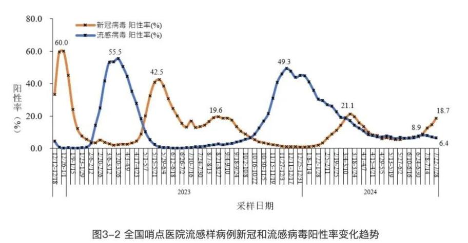 最新疫情动态，腾讯网全球疫情实时报道与全球视野