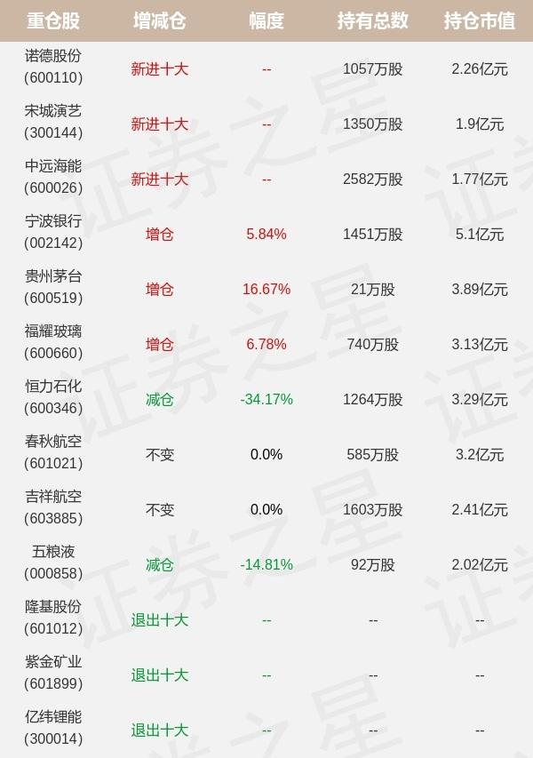 最新增持股票的公司，市场动向与投资策略分析