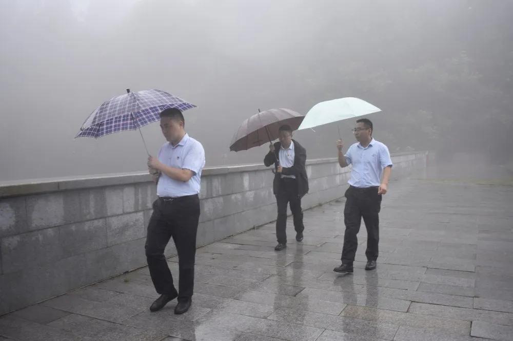 各地暴雨最新消息，影响与应对措施