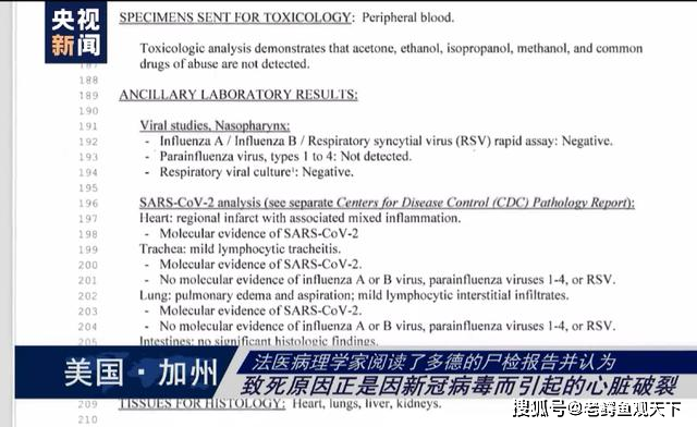 全球最新新型肺炎病例分析，新例病例的最新进展与挑战