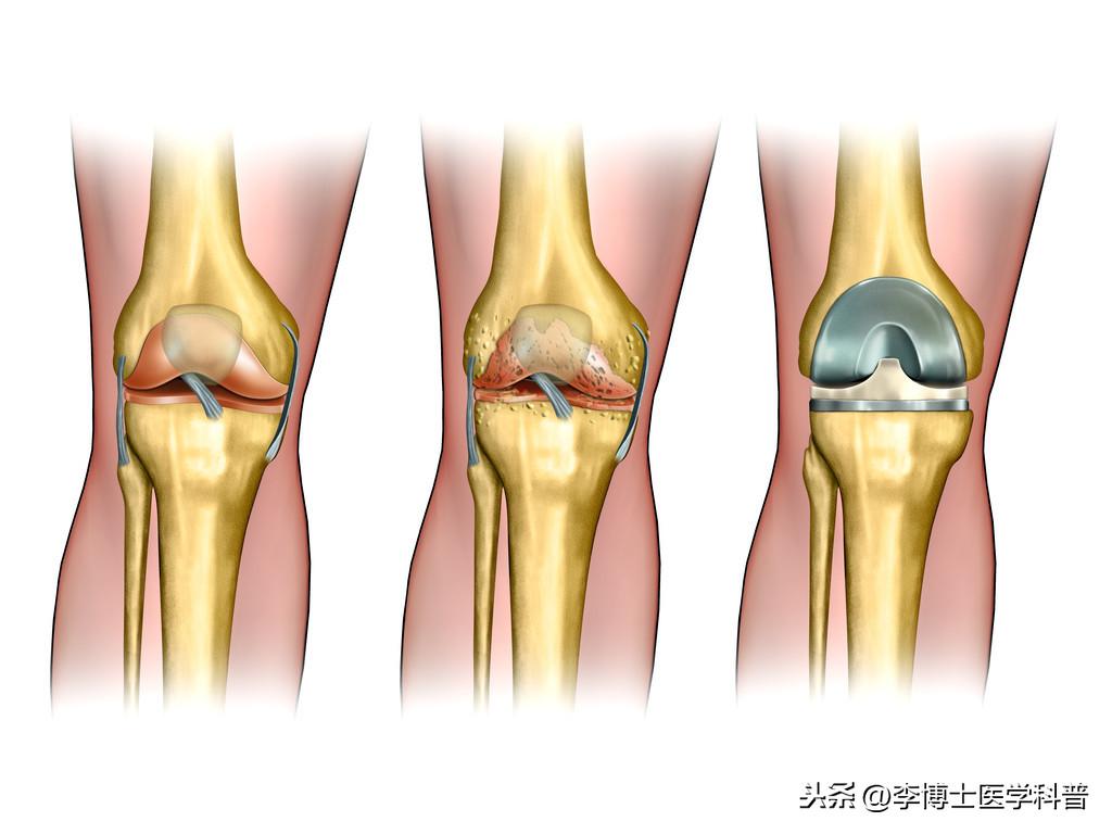 如何查找领域最新文献，一个全面的指南